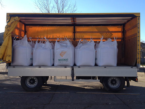 Mezőmag - Agrárház Kft. telephely 3