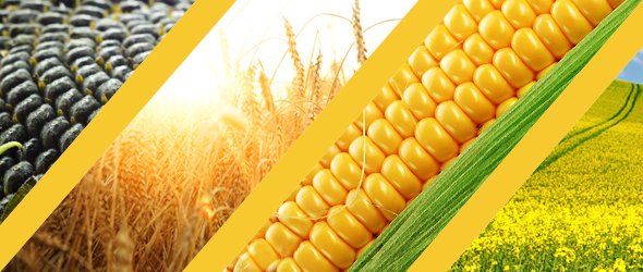 Mezőmag termékskála